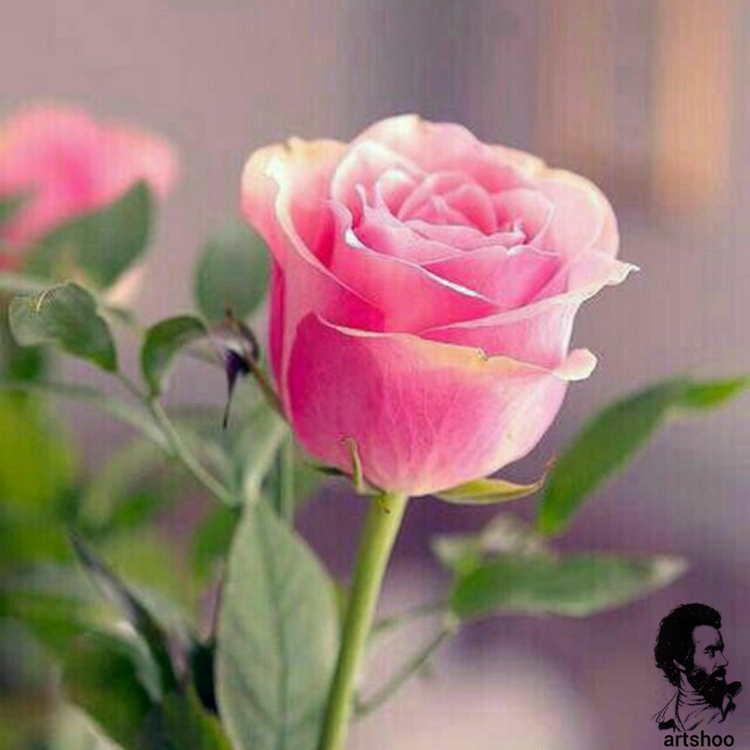 گل اورژینال رنگ روغن